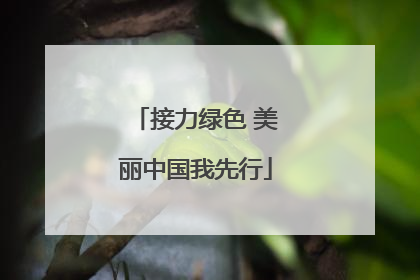 接力绿色 美丽中国我先行