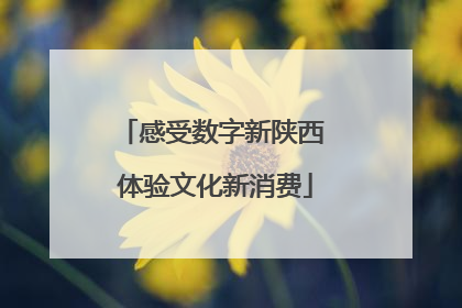 感受数字新陕西 体验文化新消费