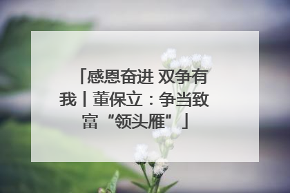 感恩奋进 双争有我丨董保立：争当致富“领头雁”