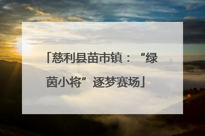 慈利县苗市镇：“绿茵小将”逐梦赛场