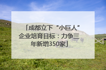 成都立下“小巨人”企业培育目标：力争三年新增350家