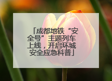 成都地铁“安全号”主题列车上线，开启环城安全应急科普