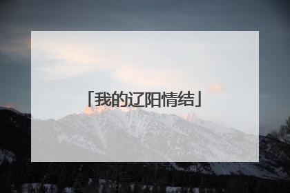 我的辽阳情结