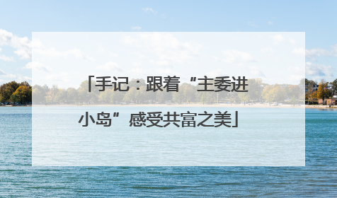 手记：跟着“主委进小岛”感受共富之美