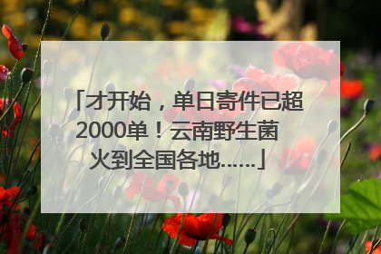 才开始，单日寄件已超2000单！云南野生菌火到全国各地……