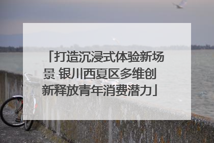 打造沉浸式体验新场景 银川西夏区多维创新释放青年消费潜力