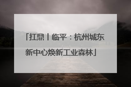 扛鼎丨临平：杭州城东新中心焕新工业森林