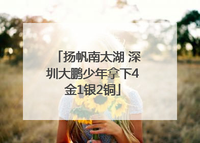 扬帆南太湖 深圳大鹏少年拿下4金1银2铜