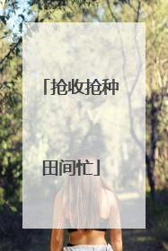 抢收抢种田间忙