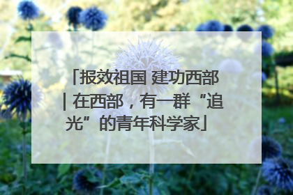 报效祖国 建功西部｜在西部，有一群“追光”的青年科学家