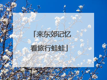 来东郊记忆 看旅行蛙蛙