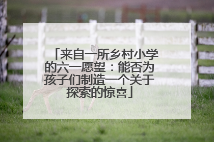来自一所乡村小学的六一愿望：能否为孩子们制造一个关于探索的惊喜