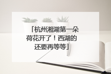 杭州湘湖第一朵荷花开了！西湖的还要再等等