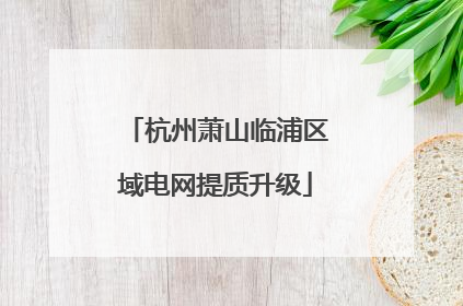 杭州萧山临浦区域电网提质升级