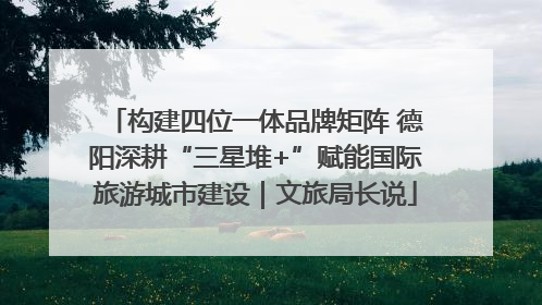 构建四位一体品牌矩阵 德阳深耕“三星堆+”赋能国际旅游城市建设｜文旅局长说