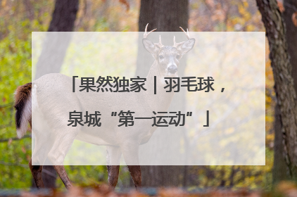 果然独家｜羽毛球，泉城“第一运动”