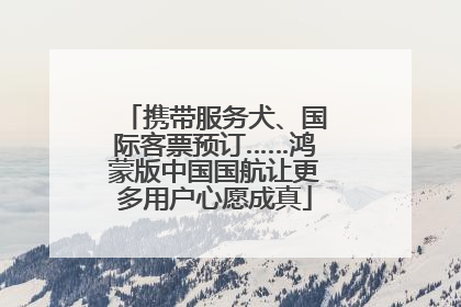 携带服务犬、国际客票预订……鸿蒙版中国国航让更多用户心愿成真