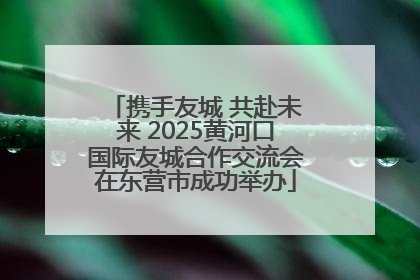 携手友城 共赴未来 2025黄河口国际友城合作交流会在东营市成功举办