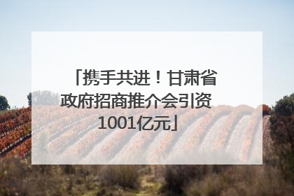 携手共进！甘肃省政府招商推介会引资1001亿元