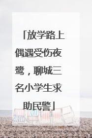 放学路上偶遇受伤夜鹭，聊城三名小学生求助民警