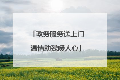 政务服务送上门 温情助残暖人心