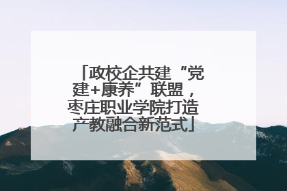 政校企共建“党建+康养”联盟，枣庄职业学院打造产教融合新范式