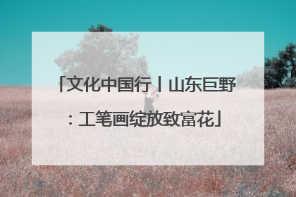 文化中国行丨山东巨野：工笔画绽放致富花