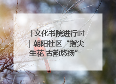 文化书院进行时｜朝阳社区“指尖生花 古韵悠扬”公益课堂开课了
