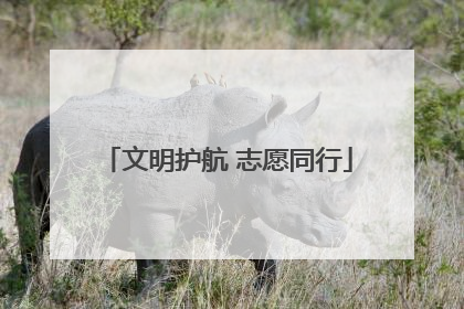 文明护航 志愿同行