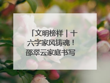 文明榜样｜十六字家风铸魂！邵翠云家庭书写大爱故事