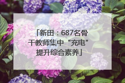 新田：687名骨干教师集中“充电” 提升综合素养