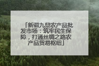 新疆九鼎农产品批发市场：筑牢民生保障，打通丝绸之路农产品贸易枢纽