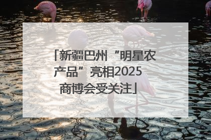 新疆巴州“明星农产品”亮相2025商博会受关注