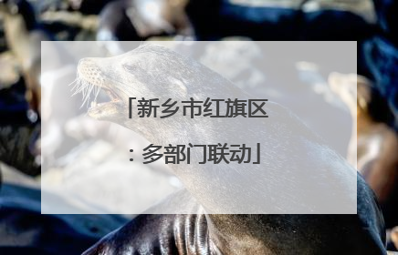 新乡市红旗区：多部门联动