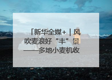 新华全媒+｜风吹麦浪好“丰”景——多地小麦机收一线见闻