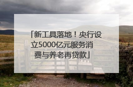 新工具落地！央行设立5000亿元服务消费与养老再贷款