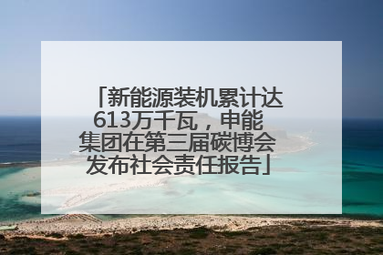 新能源装机累计达613万千瓦，申能集团在第三届碳博会发布社会责任报告