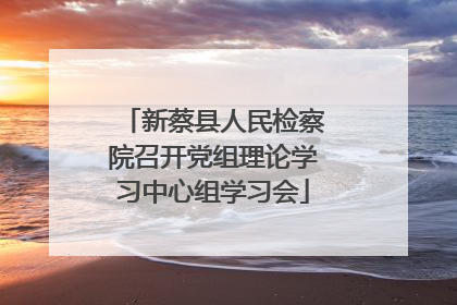 新蔡县人民检察院召开党组理论学习中心组学习会