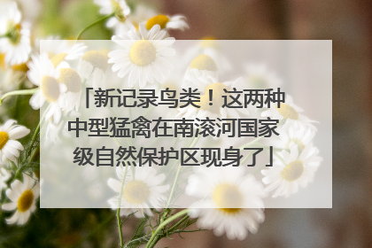 新记录鸟类！这两种中型猛禽在南滚河国家级自然保护区现身了