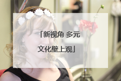 新视角 多元文化壁上观