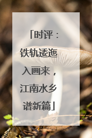 时评：铁轨逶迤入画来，江南水乡谱新篇