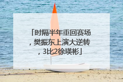 时隔半年重回赛场，樊振东上演大逆转，3比2徐瑛彬