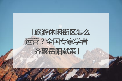 旅游休闲街区怎么运营？全国专家学者齐聚岳阳献策