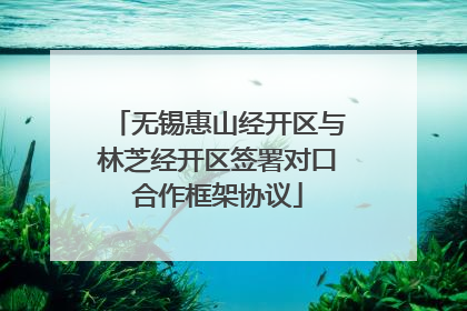 无锡惠山经开区与林芝经开区签署对口合作框架协议