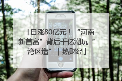 日涨80亿元！“河南新首富”背后千亿潮玩“湾区造”｜热财经