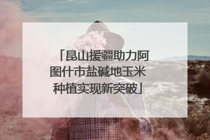 昆山援疆助力阿图什市盐碱地玉米种植实现新突破