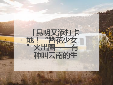 昆明又添打卡地！“簪花少女”火出圈——有一种叫云南的生活之365天