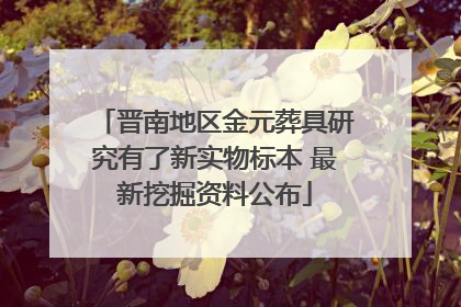 晋南地区金元葬具研究有了新实物标本 最新挖掘资料公布