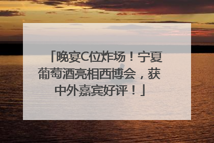 晚宴C位炸场！宁夏葡萄酒亮相西博会，获中外嘉宾好评！
