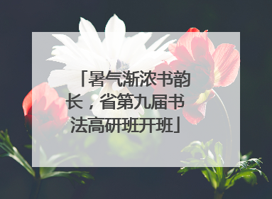 暑气渐浓书韵长，省第九届书法高研班开班